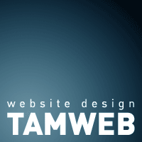 website design logo